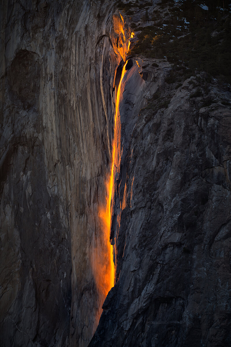 Horsetail-final.jpg