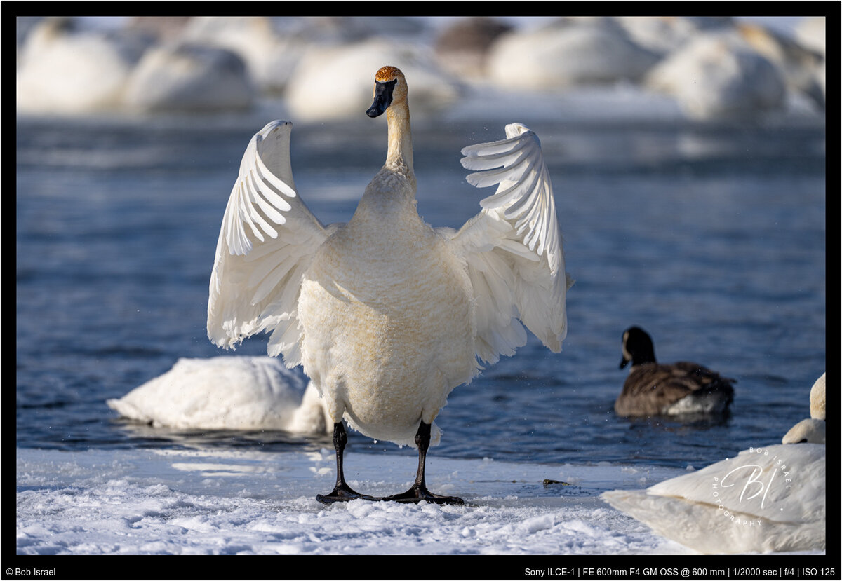 Hudson 012322-345-Edit.jpg