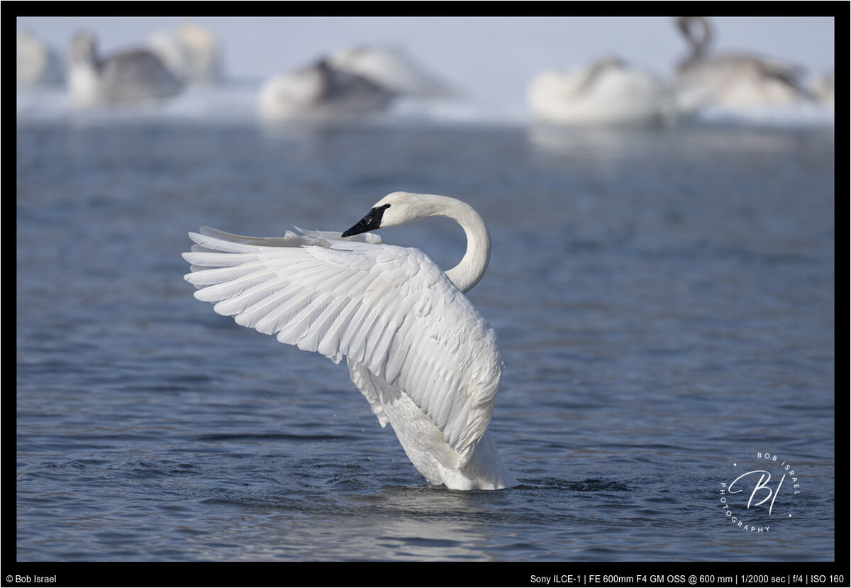Hudson 012322-610-Edit.jpg
