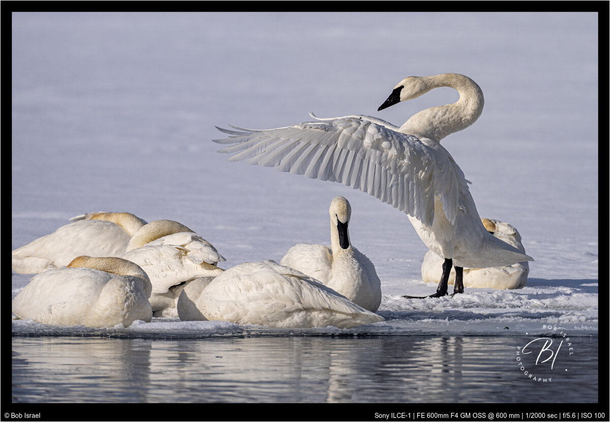 Hudson 012322-819-Edit.jpg