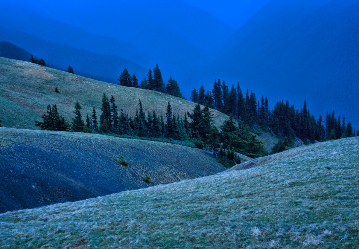 Hurricane Ridge sRGB.jpg