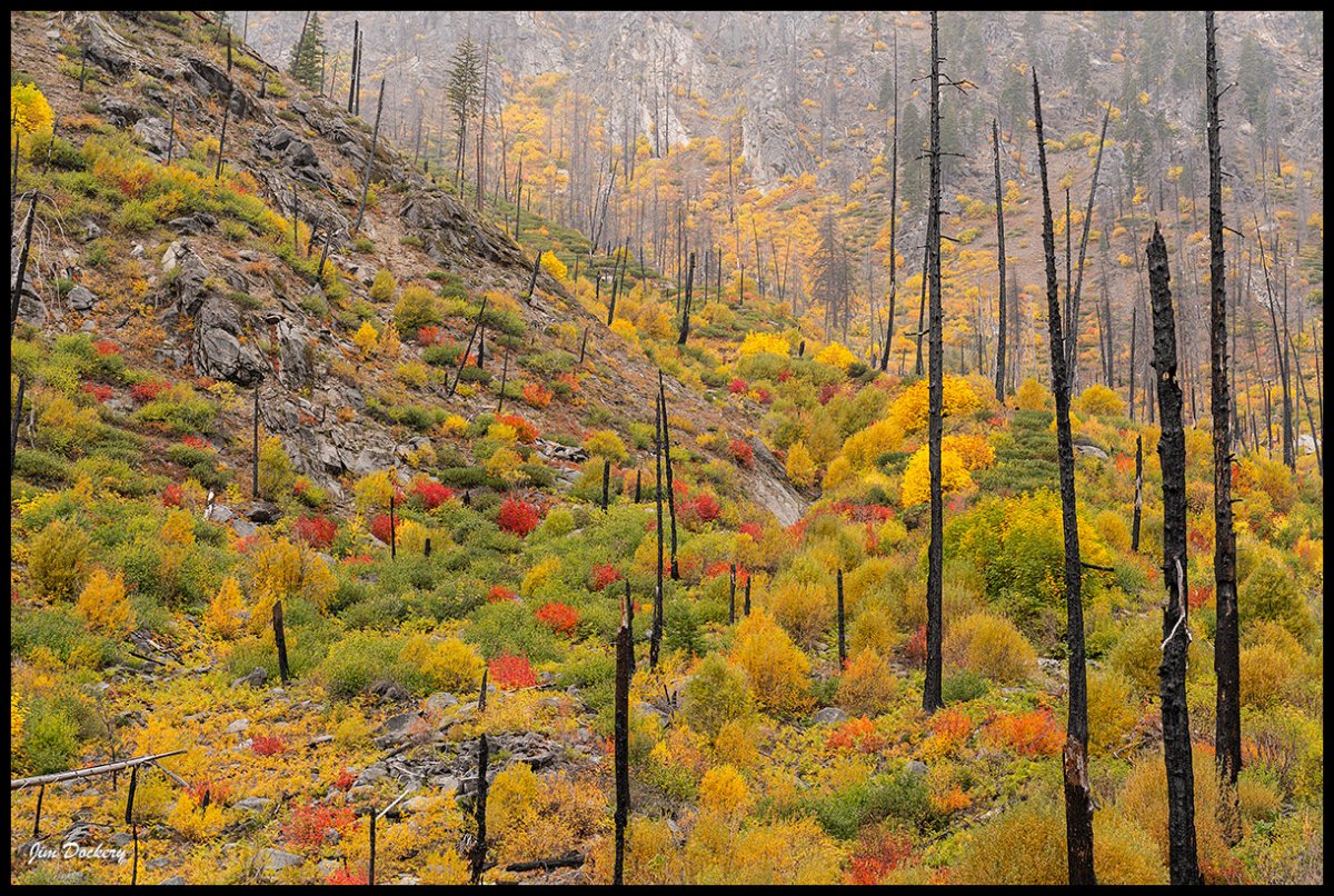 Hwy-2-fall-2019-A7r-31.jpg