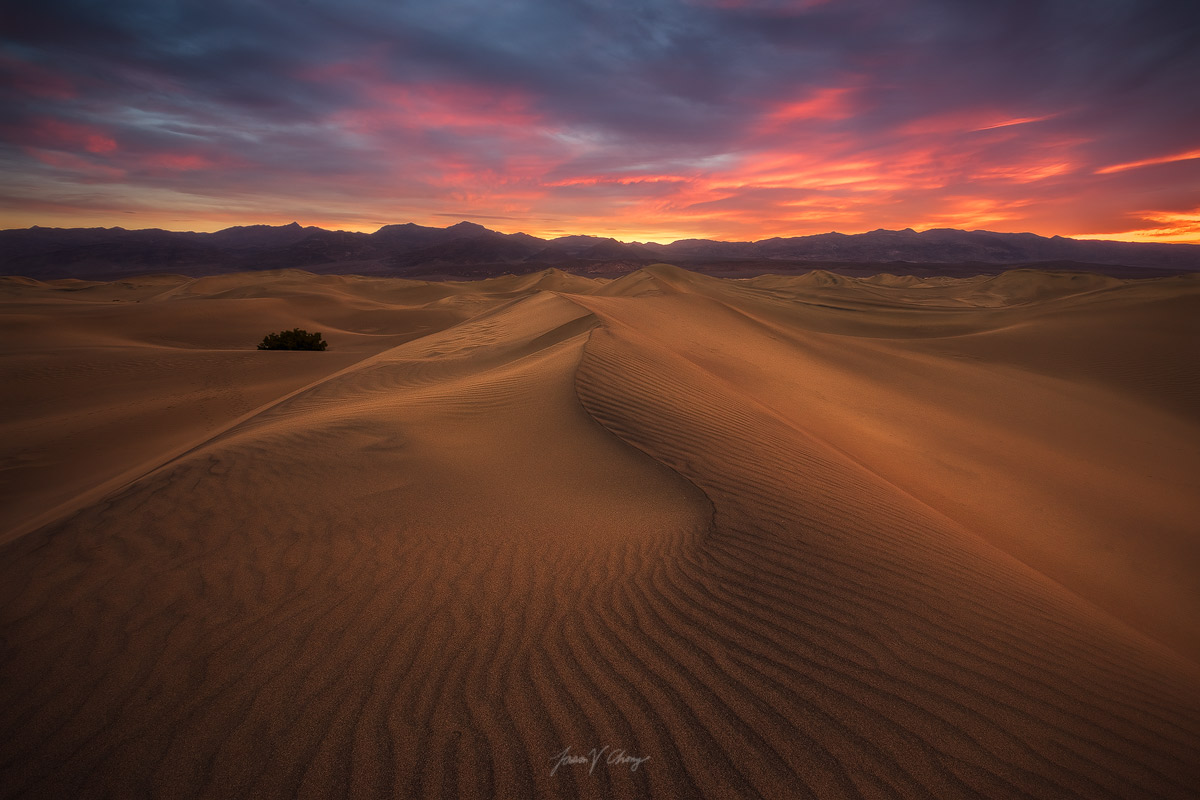 I-Dream-of-Dunes-Fix.jpg
