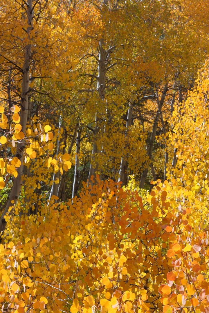 I40_0132_081001w.JPG