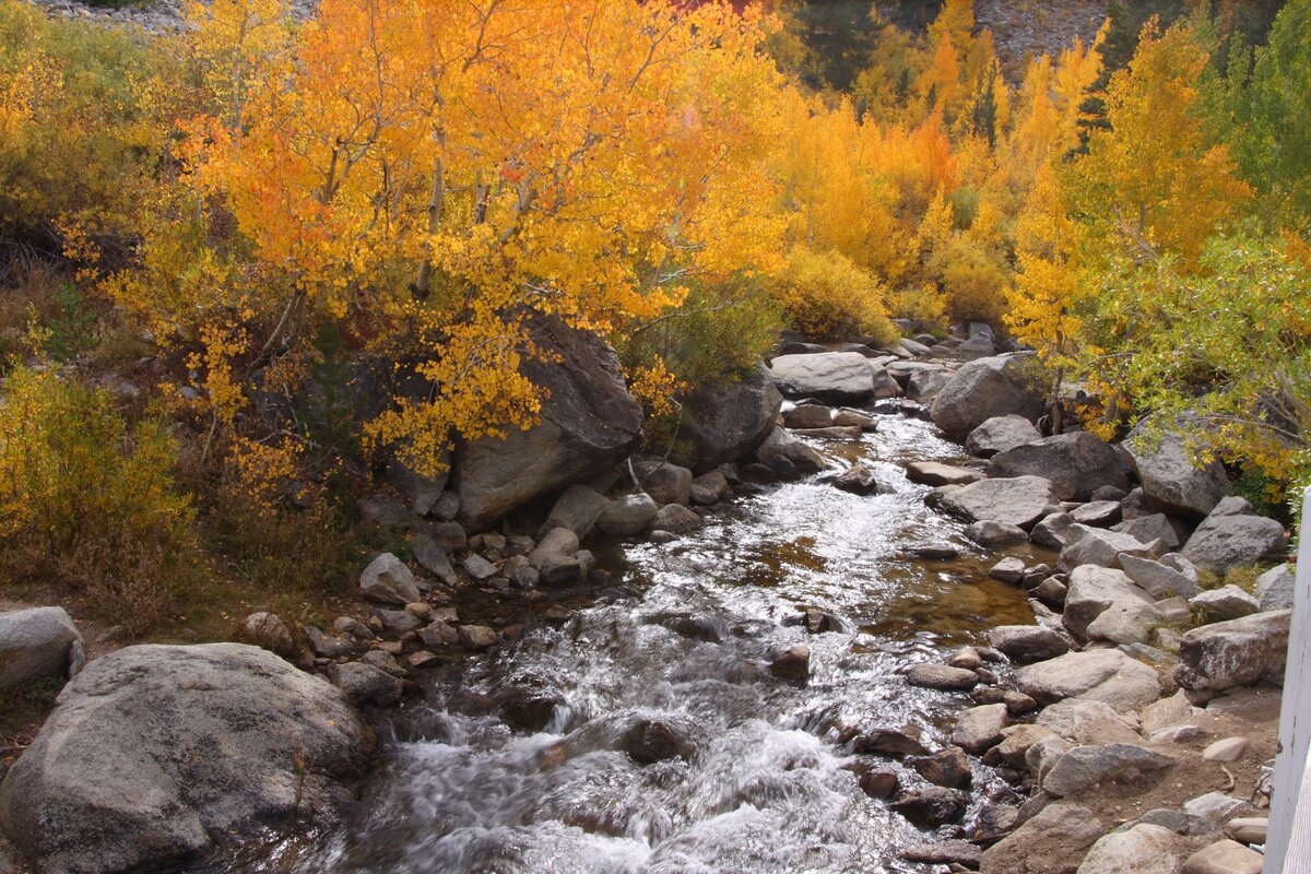 I40_0847_081003w.JPG