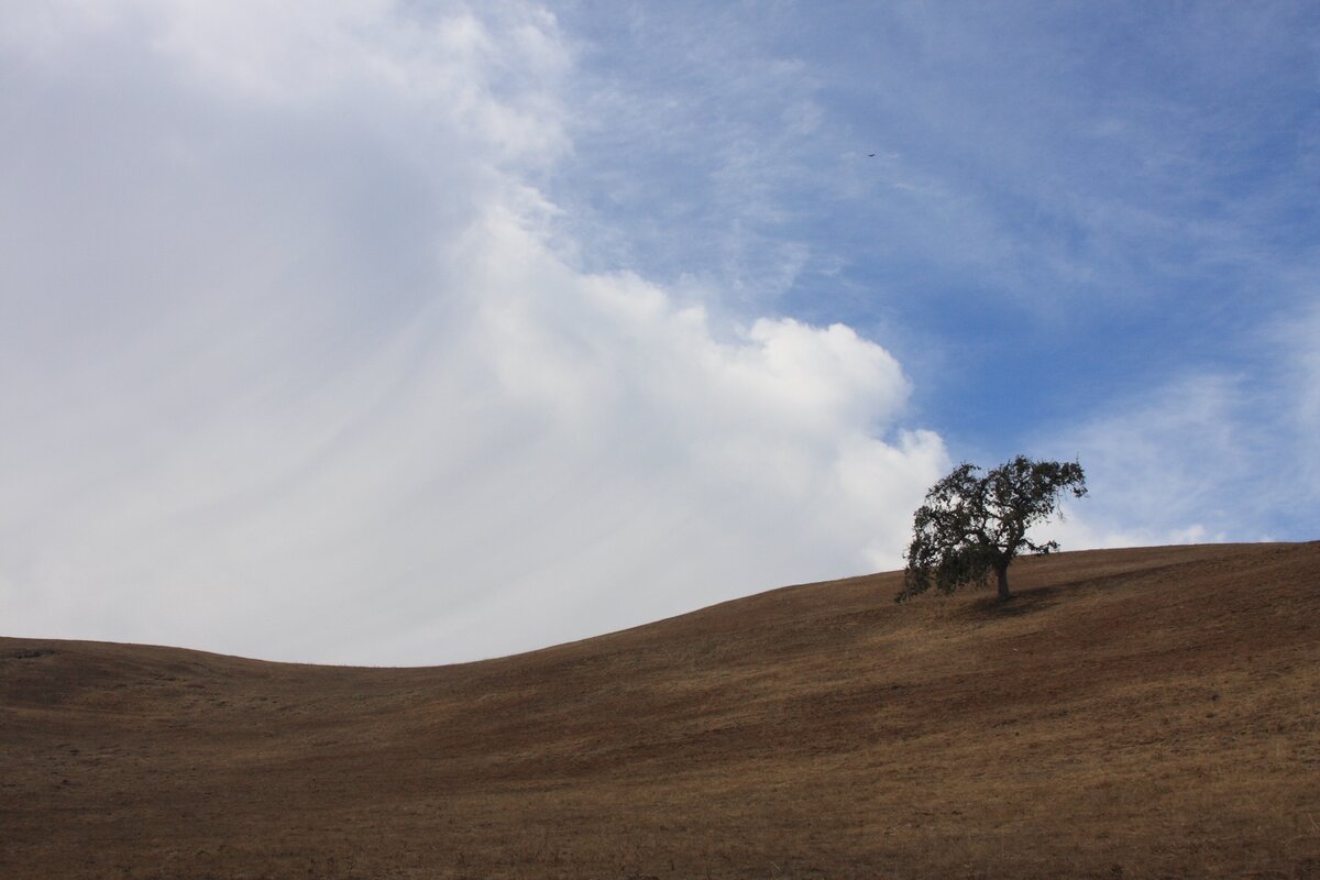 I40_1305_081027w.JPG