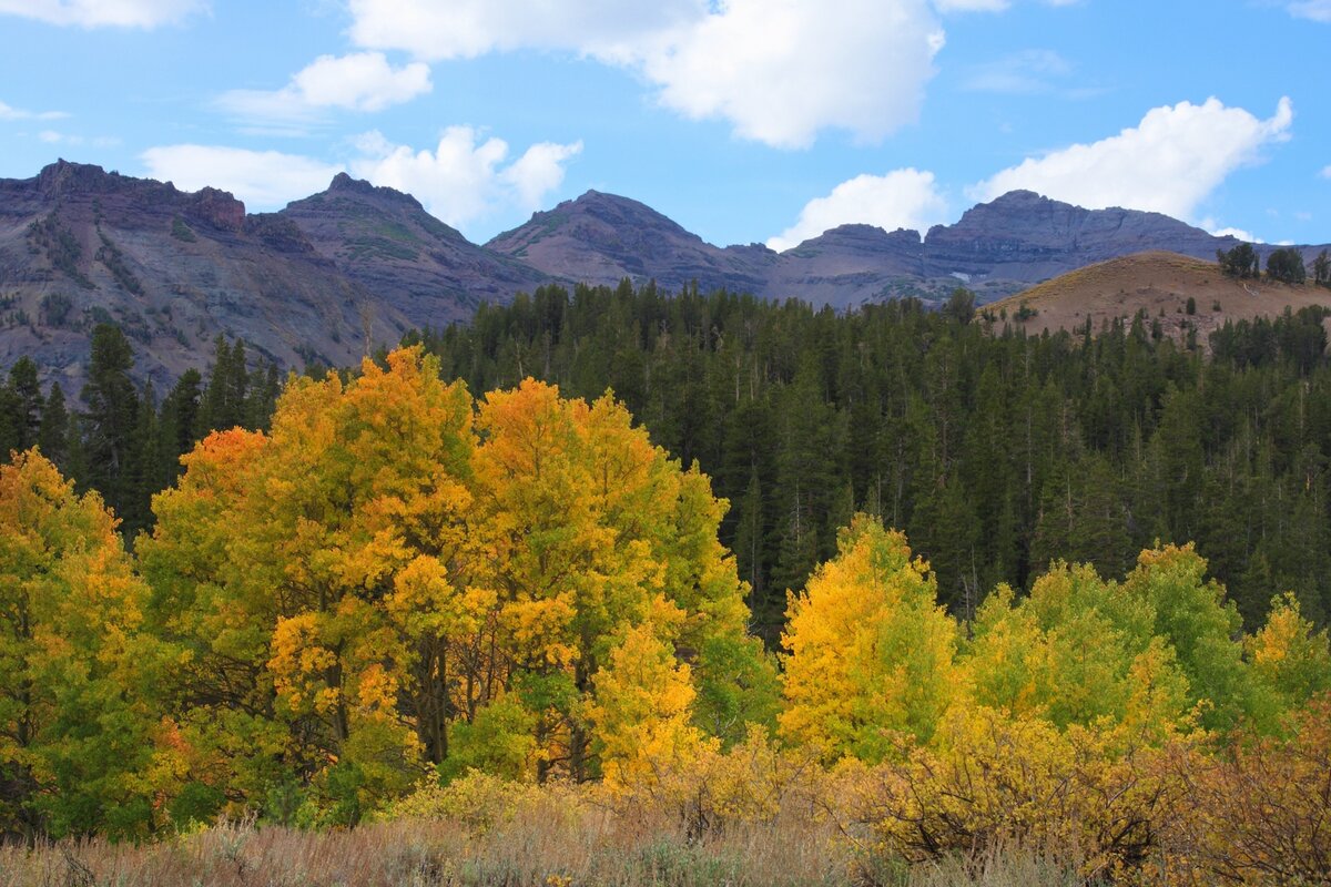 I40_9646_080929w.JPG