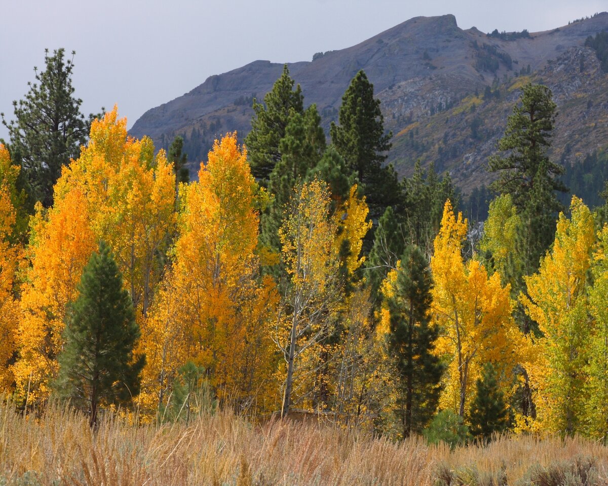 I40_9693_080929_c1w.jpg