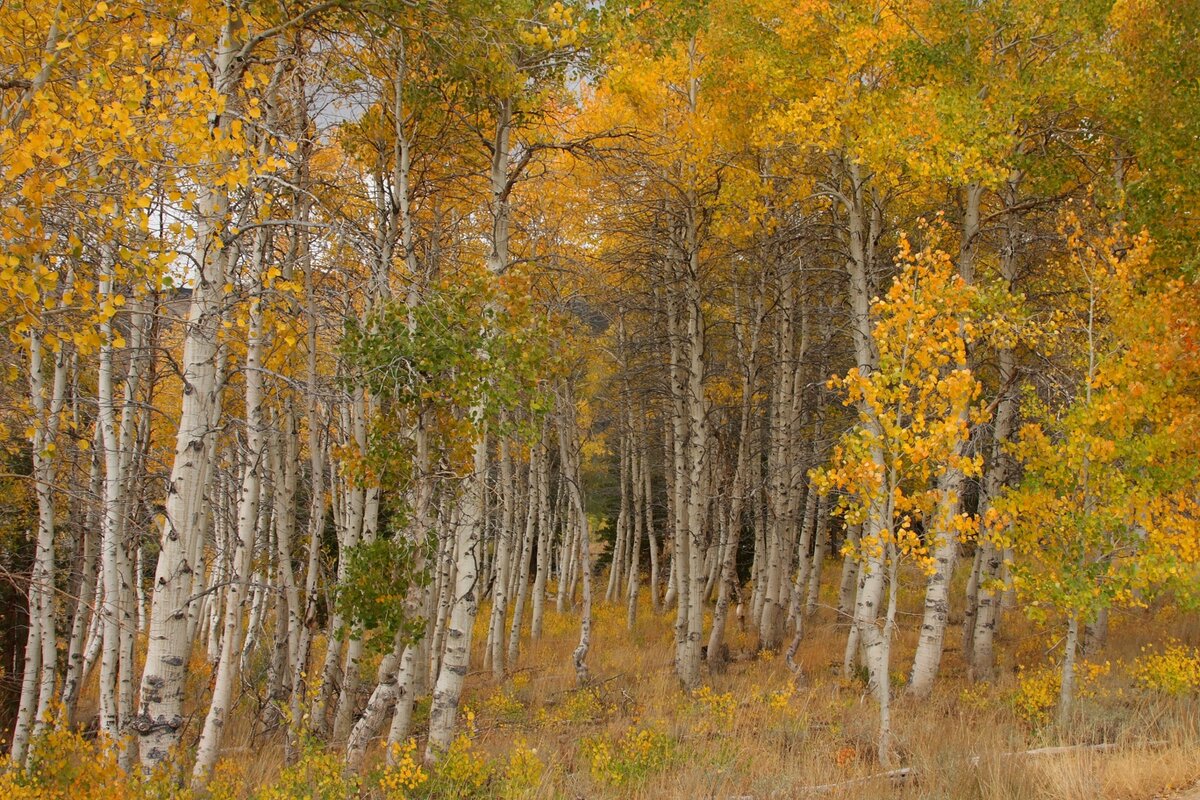 I40_9736_080929_c2w.JPG