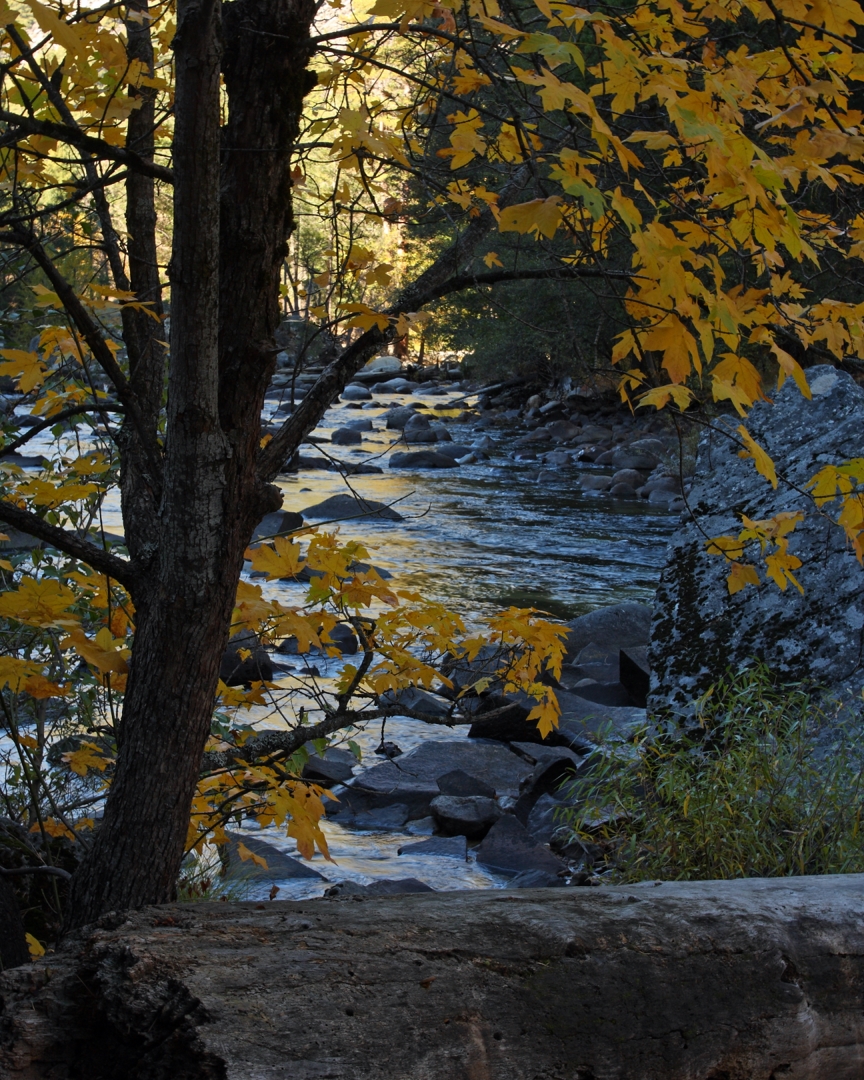 I40_9805_091030_c2w.JPG