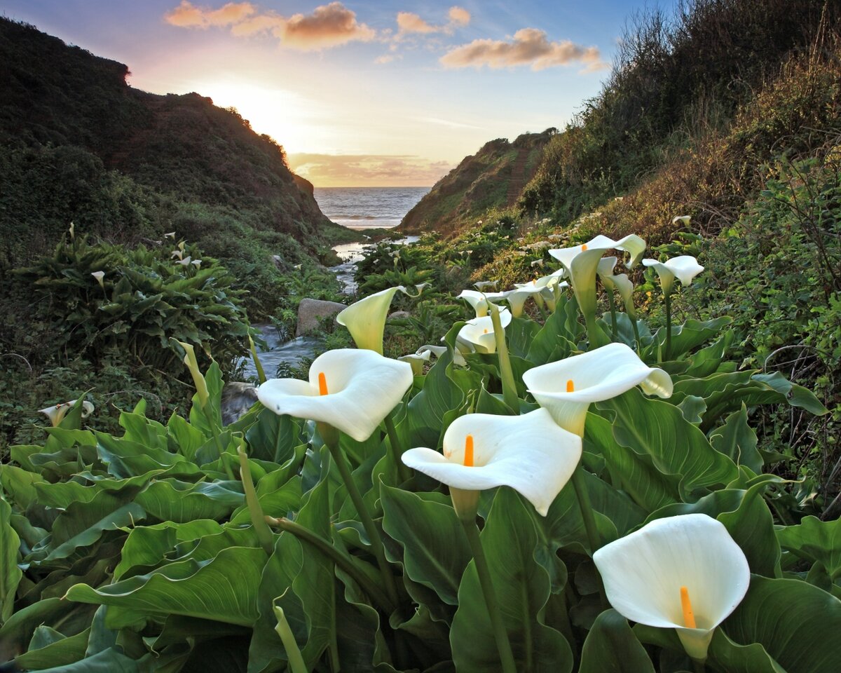 I5D_9631_090306_p1PP6-topaz-low resolution-2xw.JPG