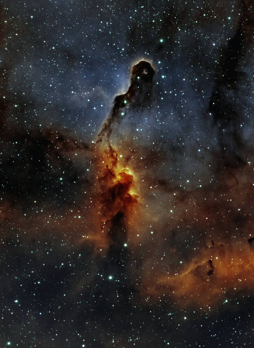 IC1396_crop.jpg