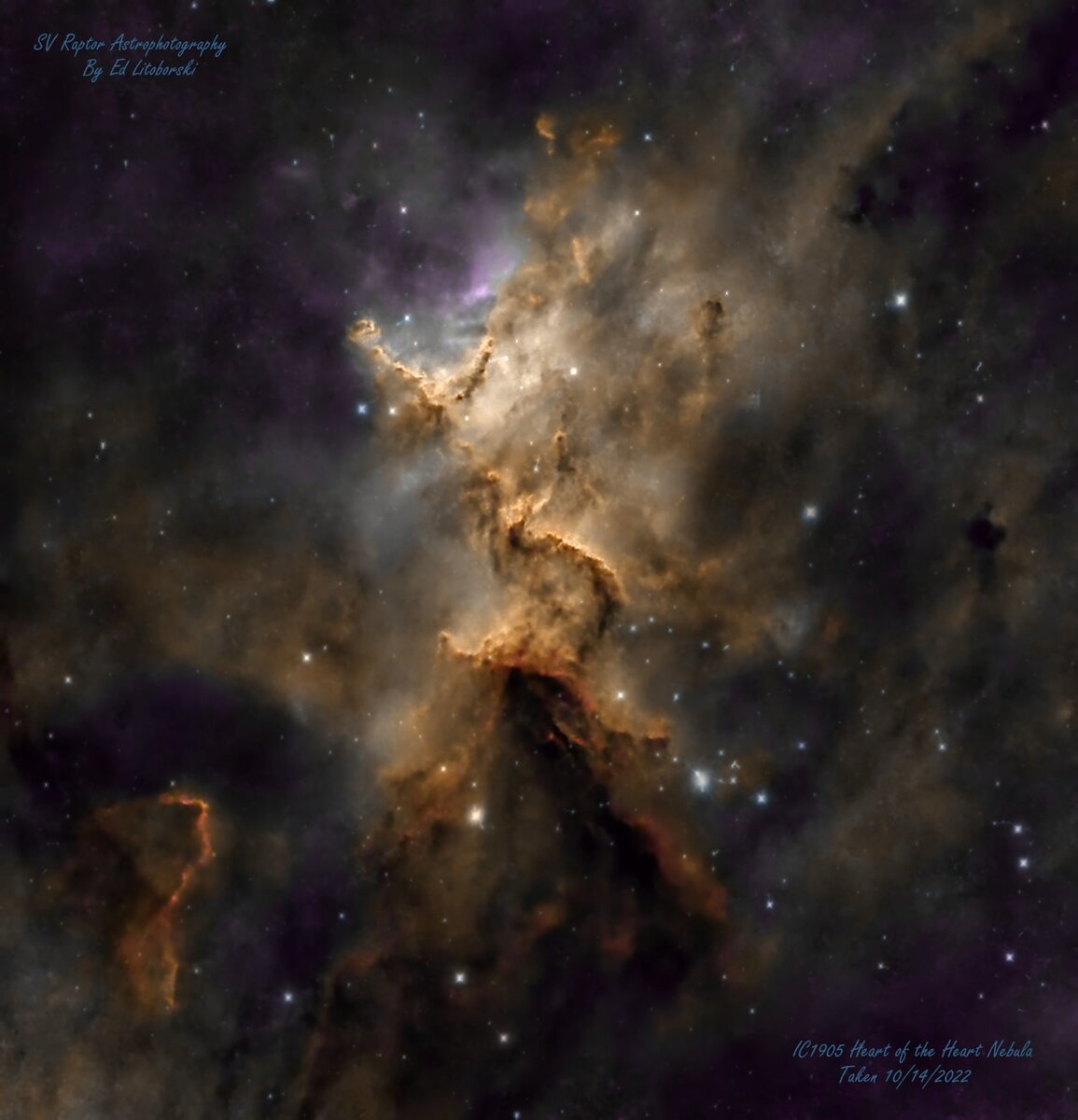 IC1805_SV_rev7_2.jpg