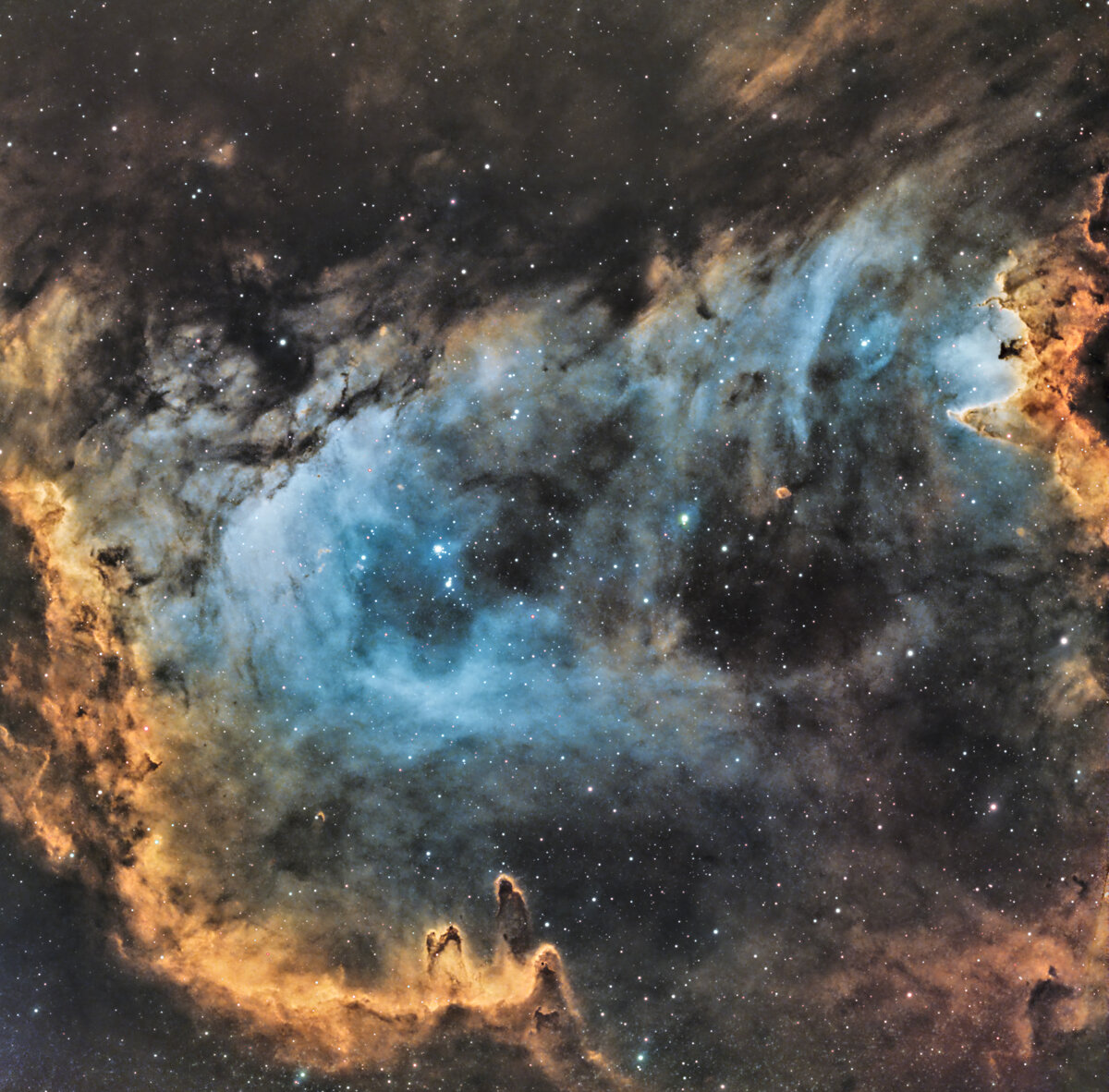 IC1848-Combine1_ADBE-3.jpg