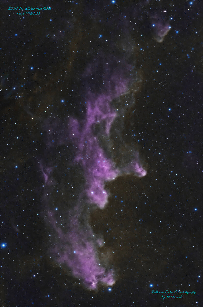 IC2118_SV_Rev1.1.jpg