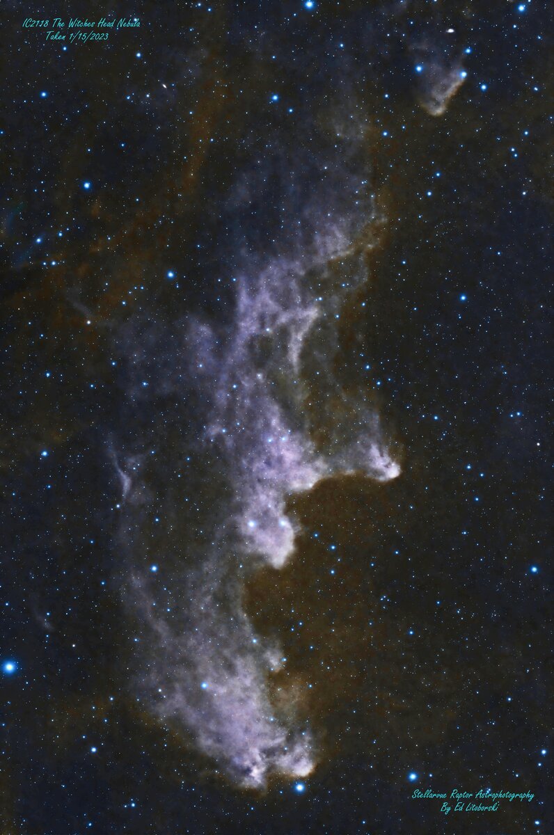IC2118_SV_Rev1.4.jpg