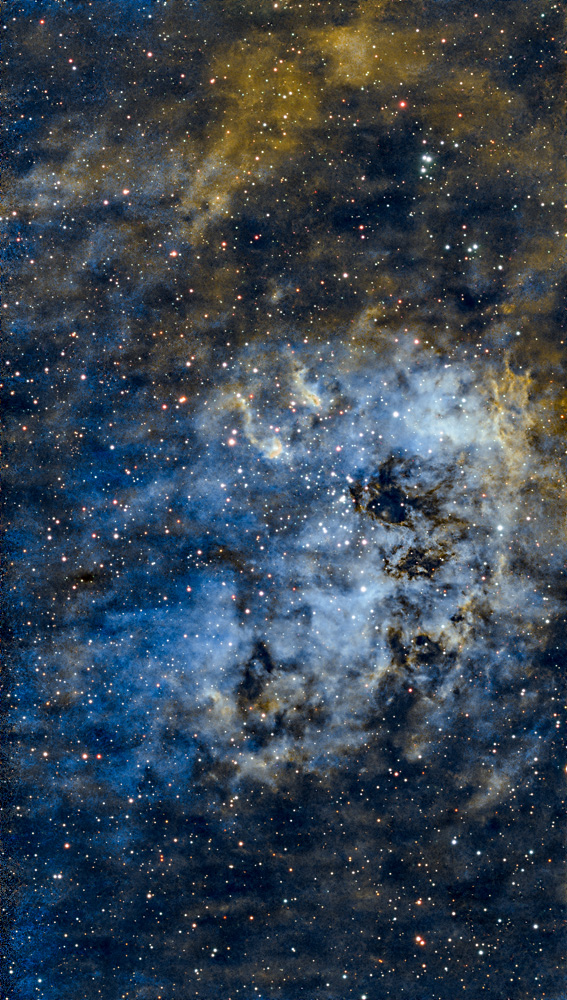IC410_TadpolesNeb_SeeStarS50_20251211_dw.jpg