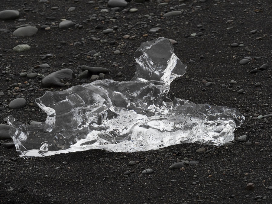 Ice Dog.jpg