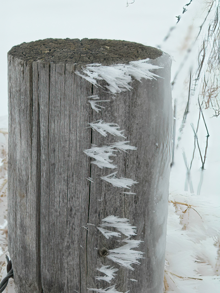 Ice on Fence-Edit.jpg