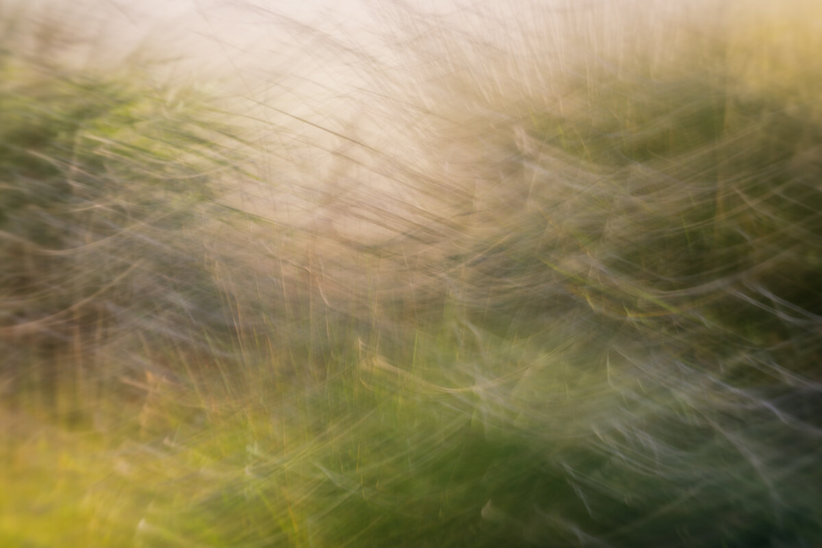 ICM---3.jpg