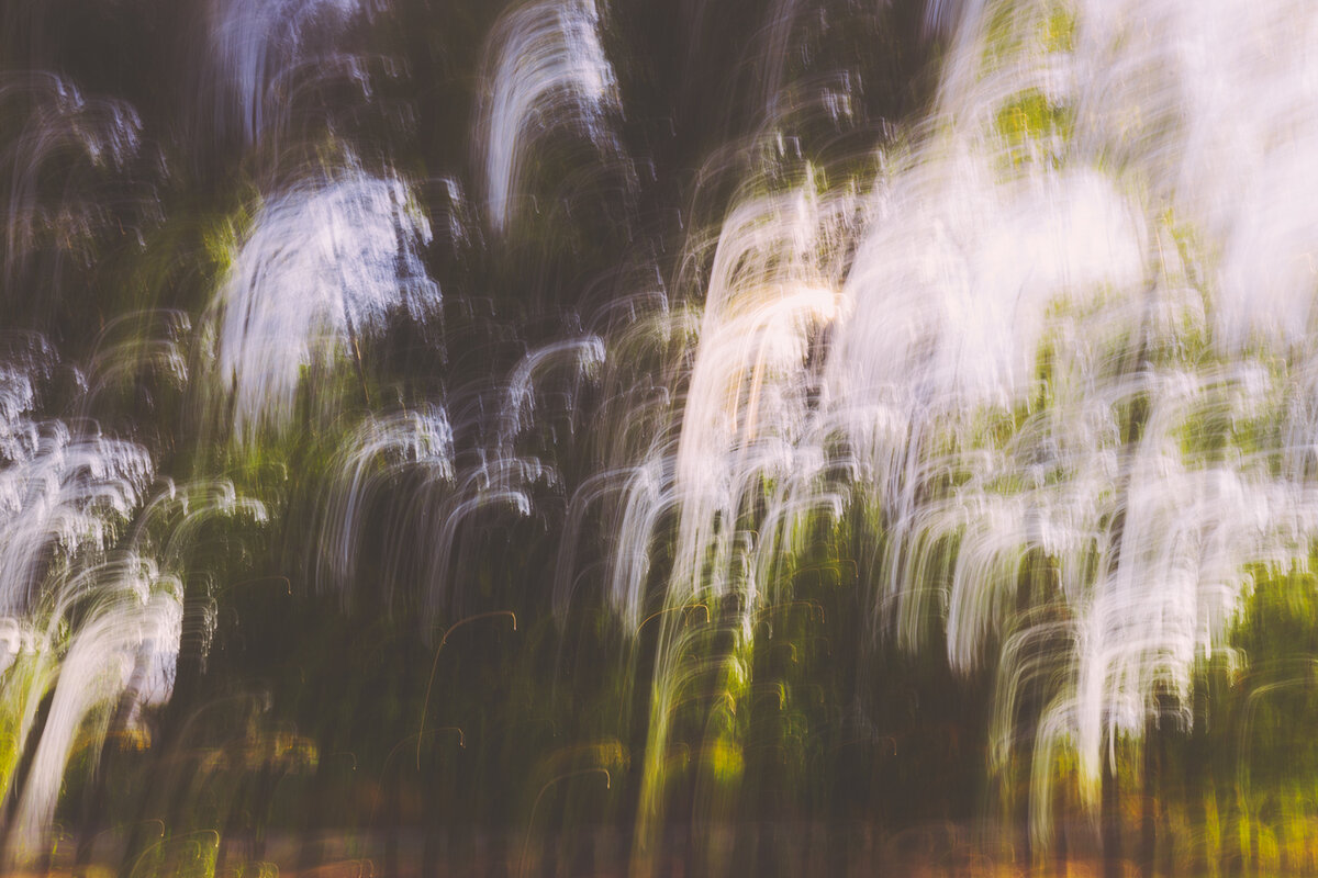 ICM---5.jpg