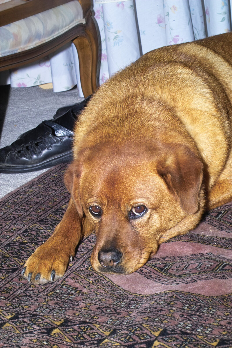 IMG03526.jpg