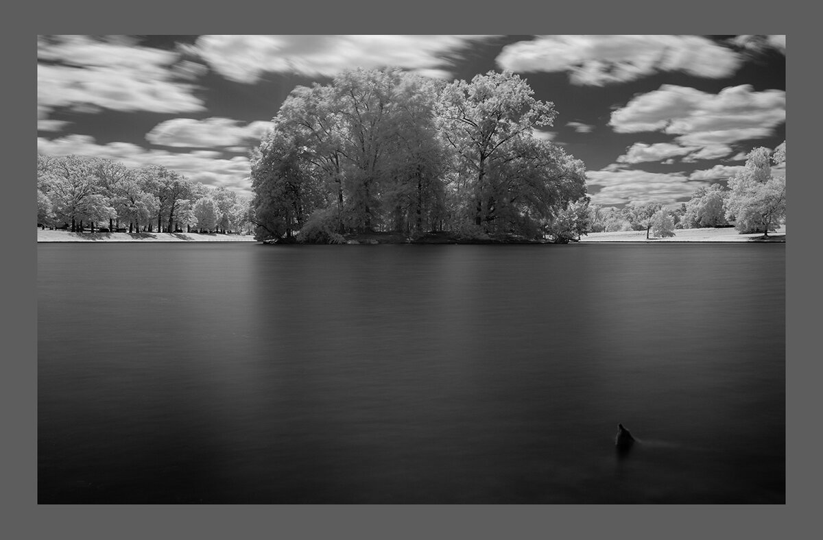 IMG_0124_border.jpg