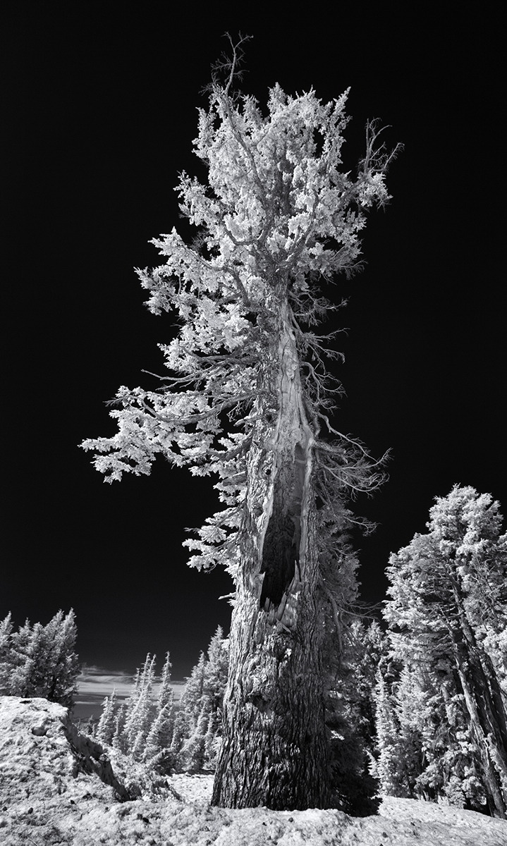IMG_0343-Edit.jpg
