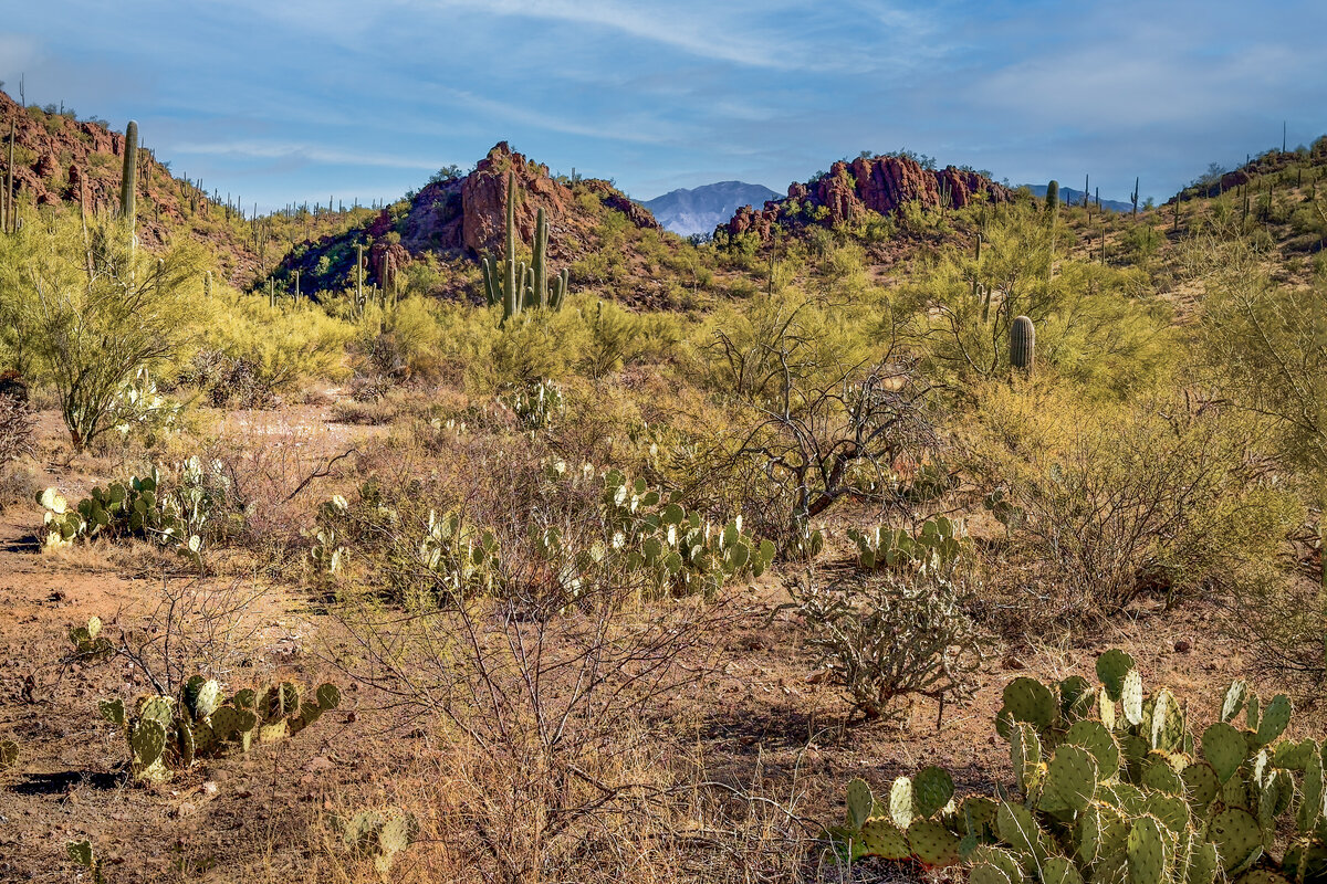 IMG_1113-Pano-Edit.jpg
