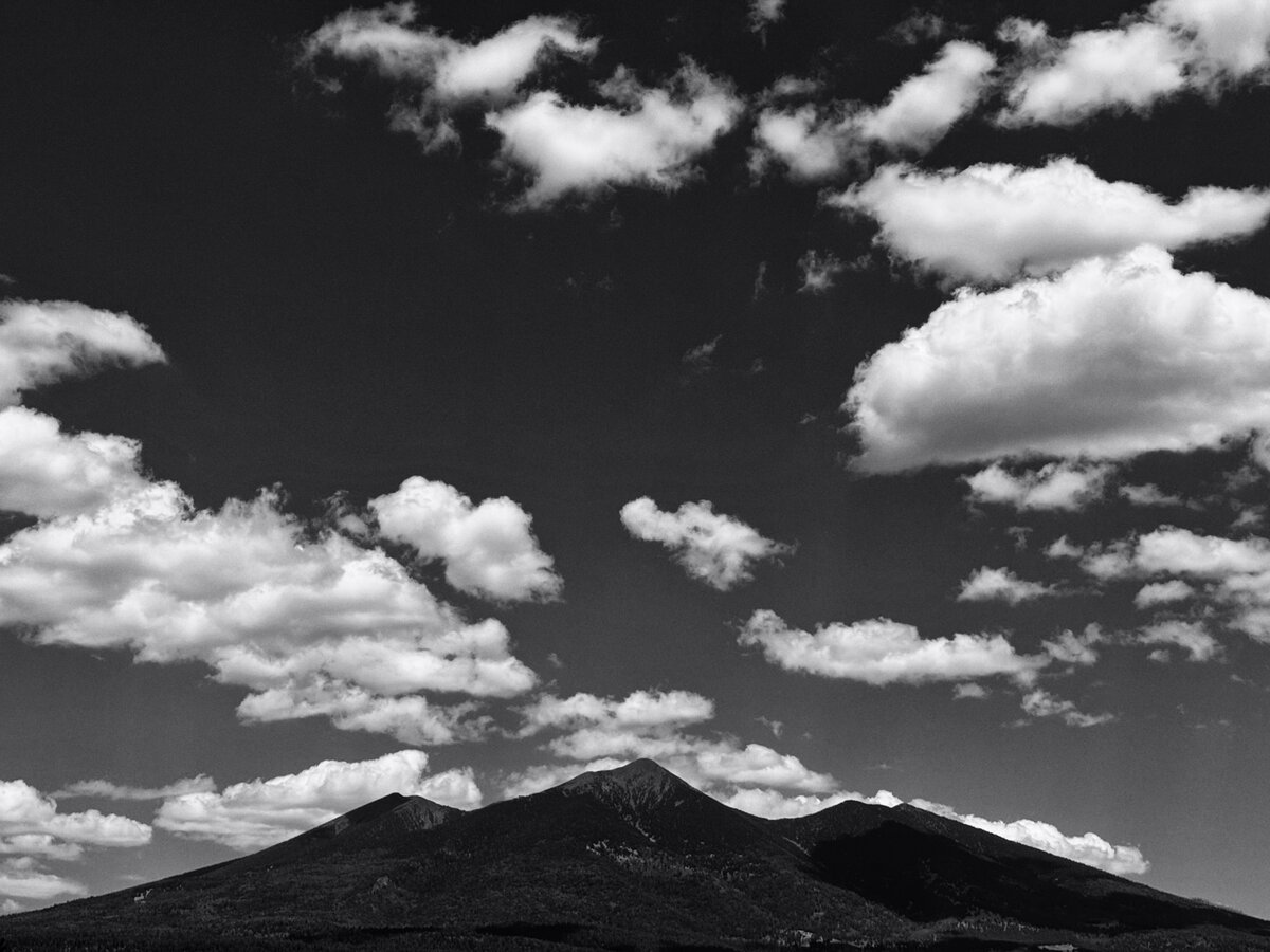 IMG_2237-topaz-low resolution v1-2xw.jpg