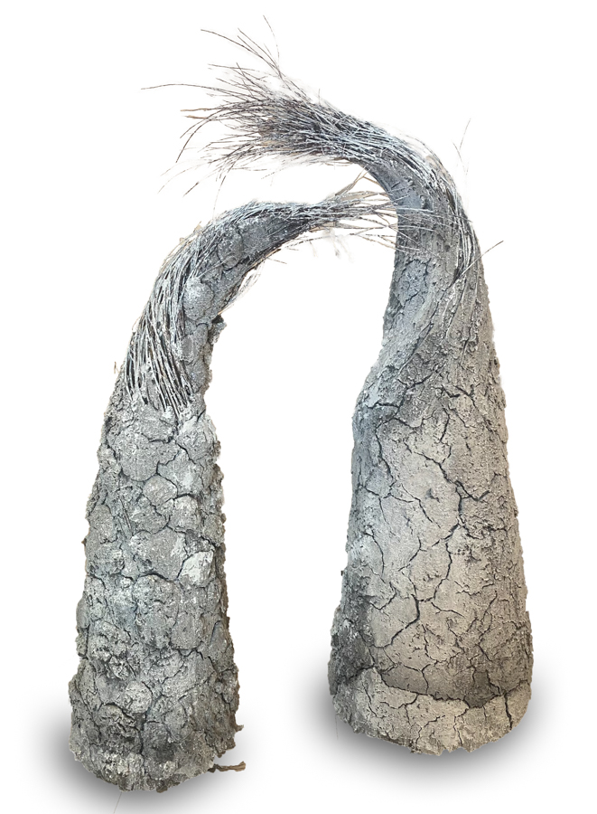 IMG_2650 final with drop shadow.jpg