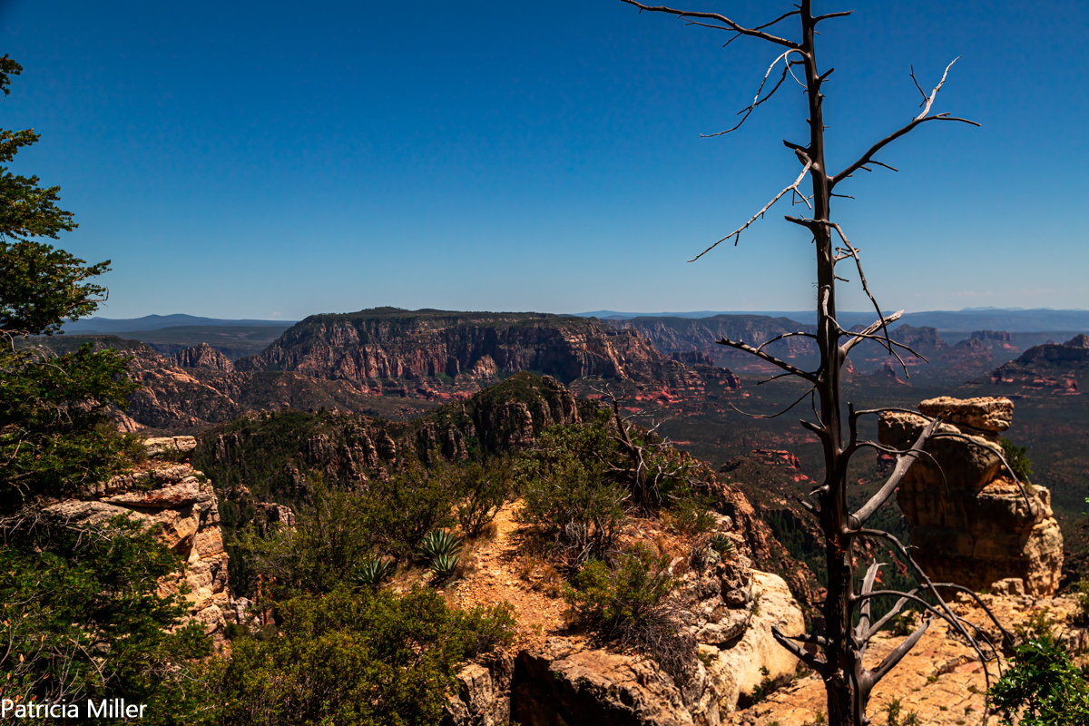 IMG_3667-EditIMG_3667-Edit.jpg