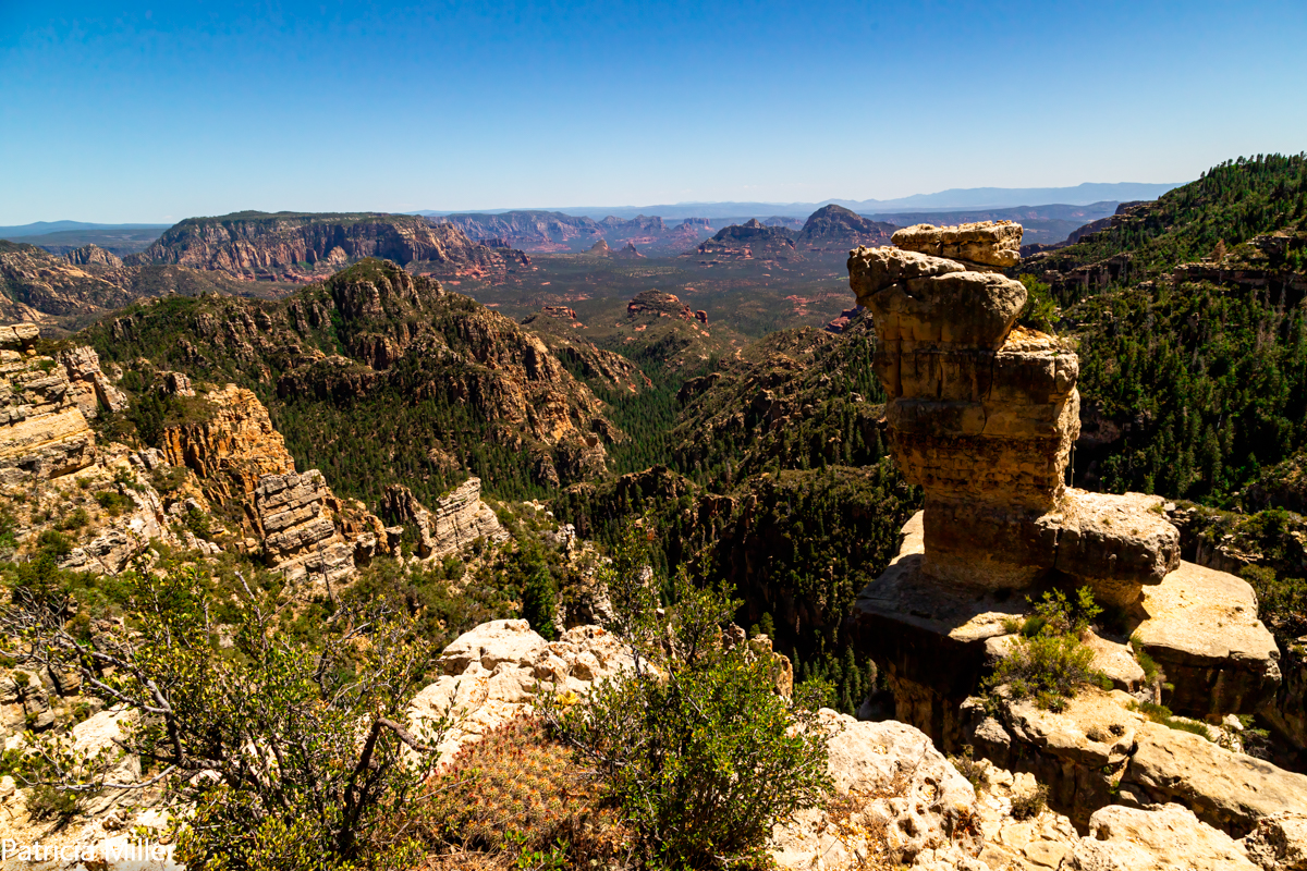 IMG_3677-Edit-EditIMG_3677-Edit-Edit.jpg
