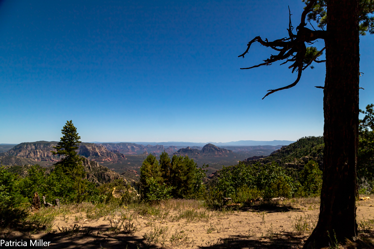 IMG_3690-EditIMG_3690-Edit.jpg