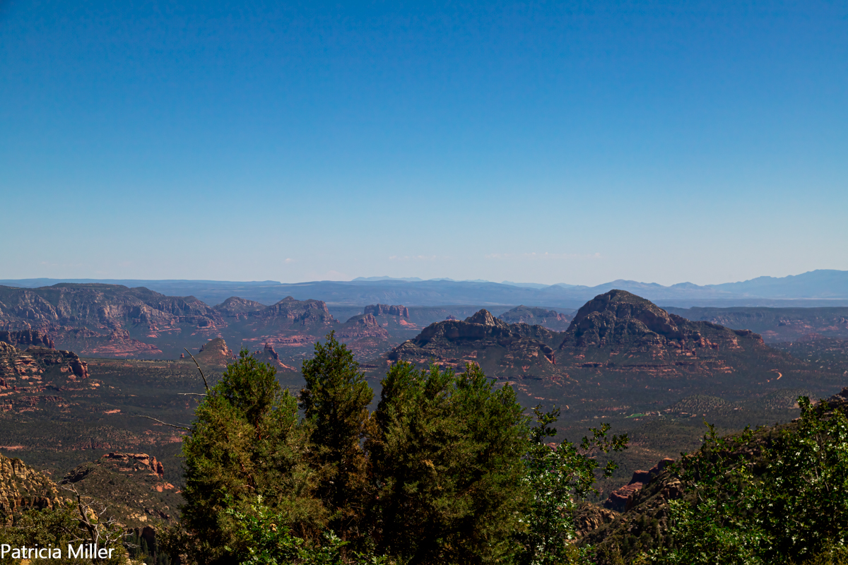 IMG_3691-EditIMG_3691-Edit.jpg