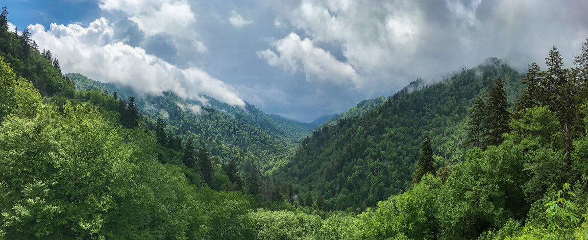 IMG_4315-Pano-Edit-2.jpg