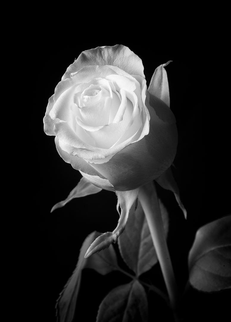 IMG_7218-Edit.jpg