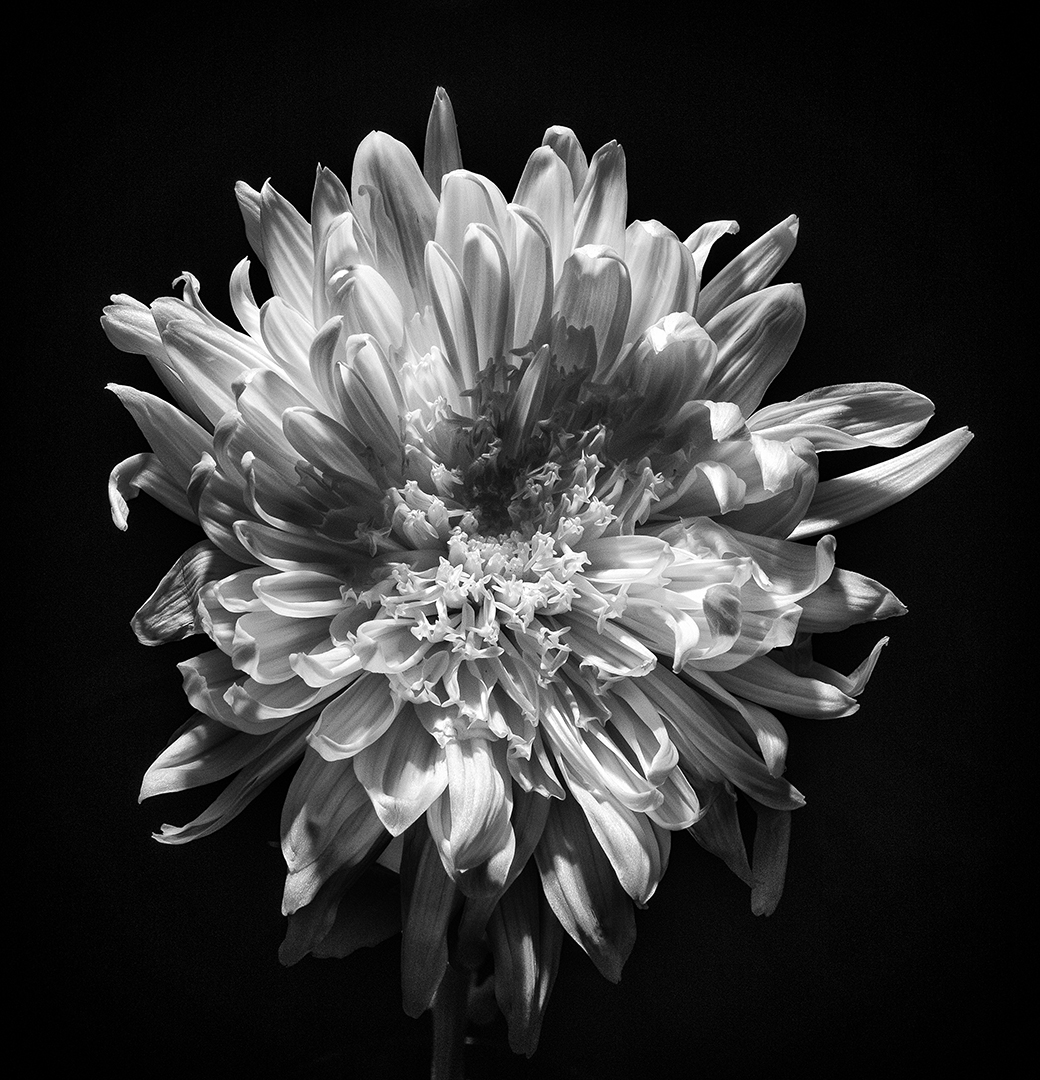 IMG_7224-Edit.jpg