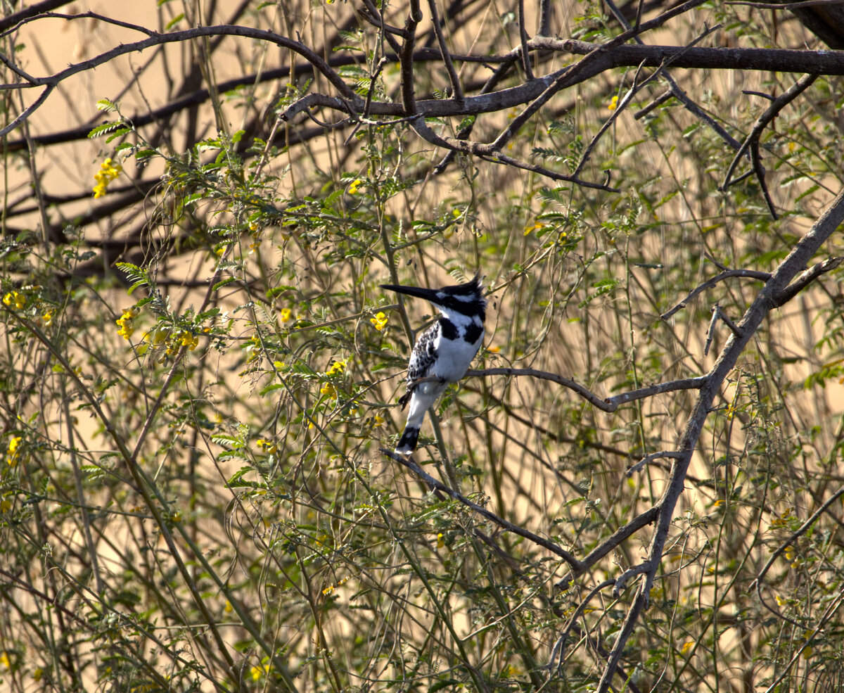 IMG_7880.jpg