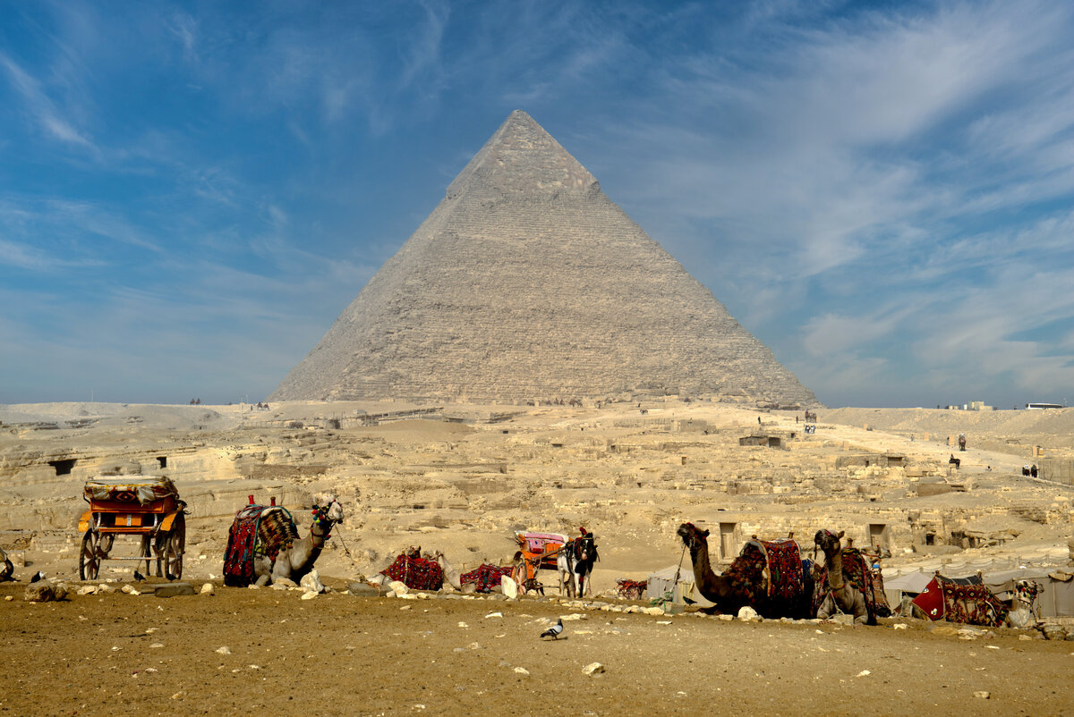 IMG_7993_2 (1).jpg