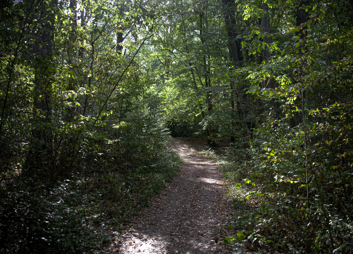IMG_8755.jpg