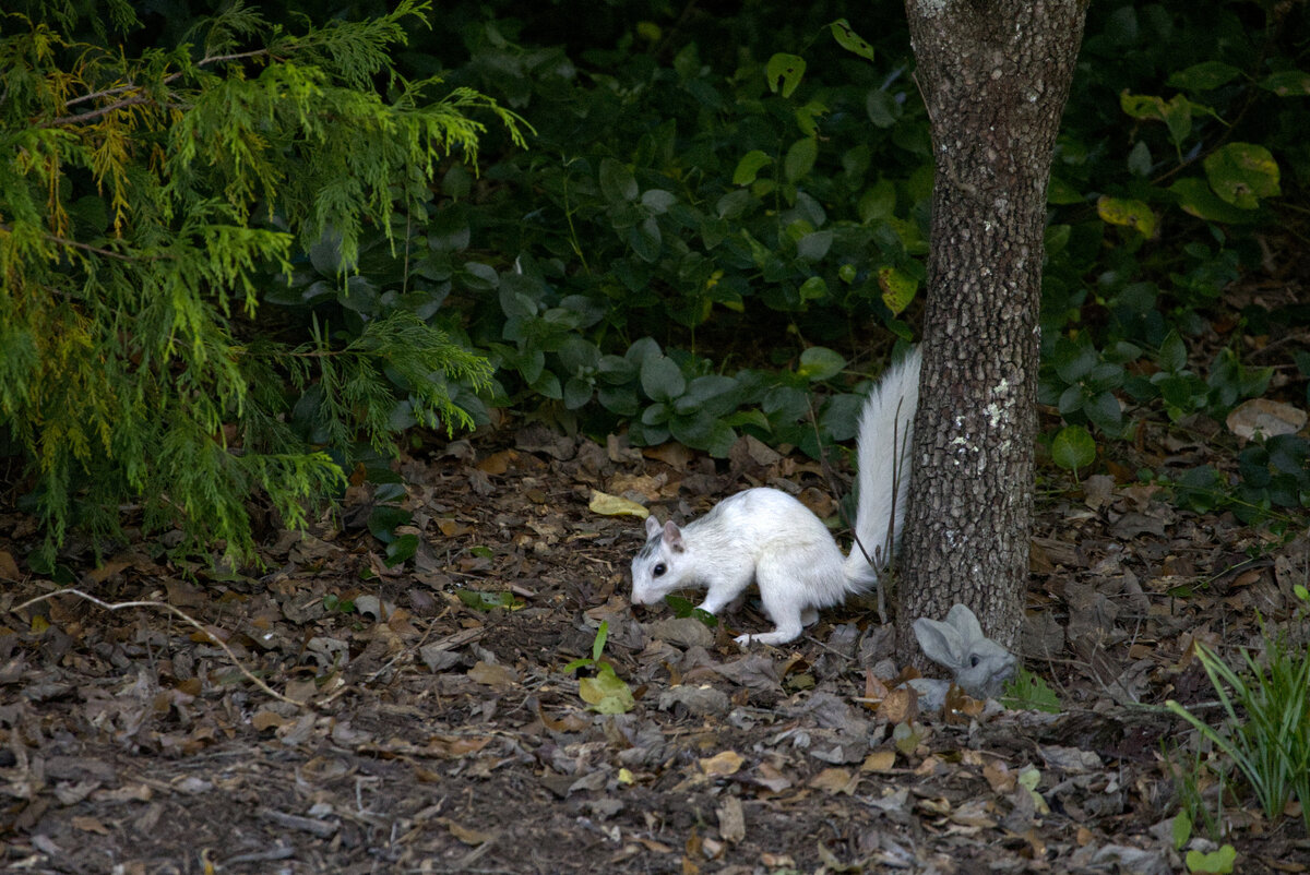 IMG_8919.jpg
