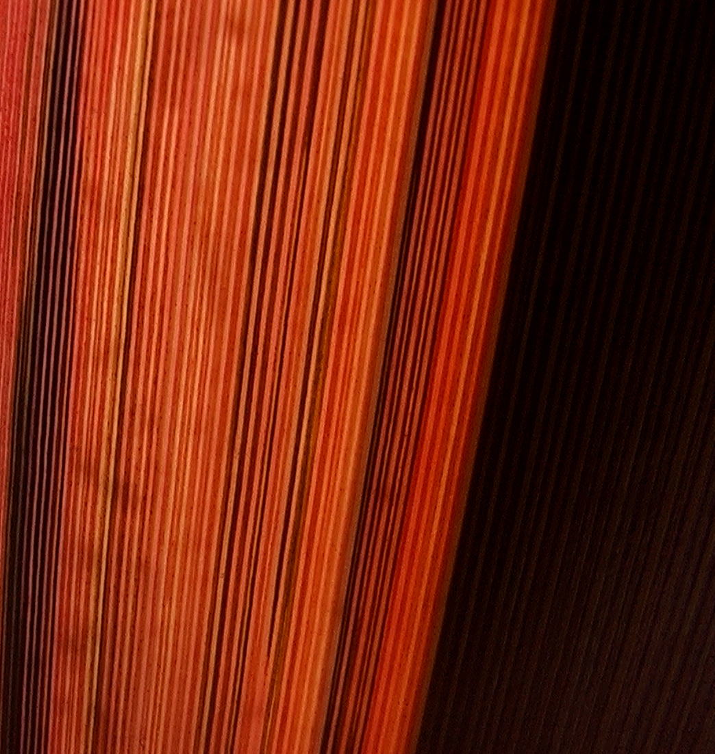 IMGA1593._cropped_RGB.JPG