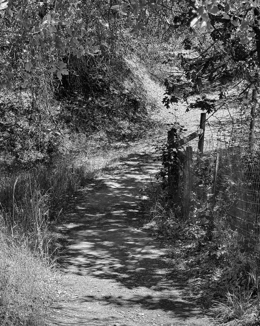 IP15_0725_240513_SE1w.jpg