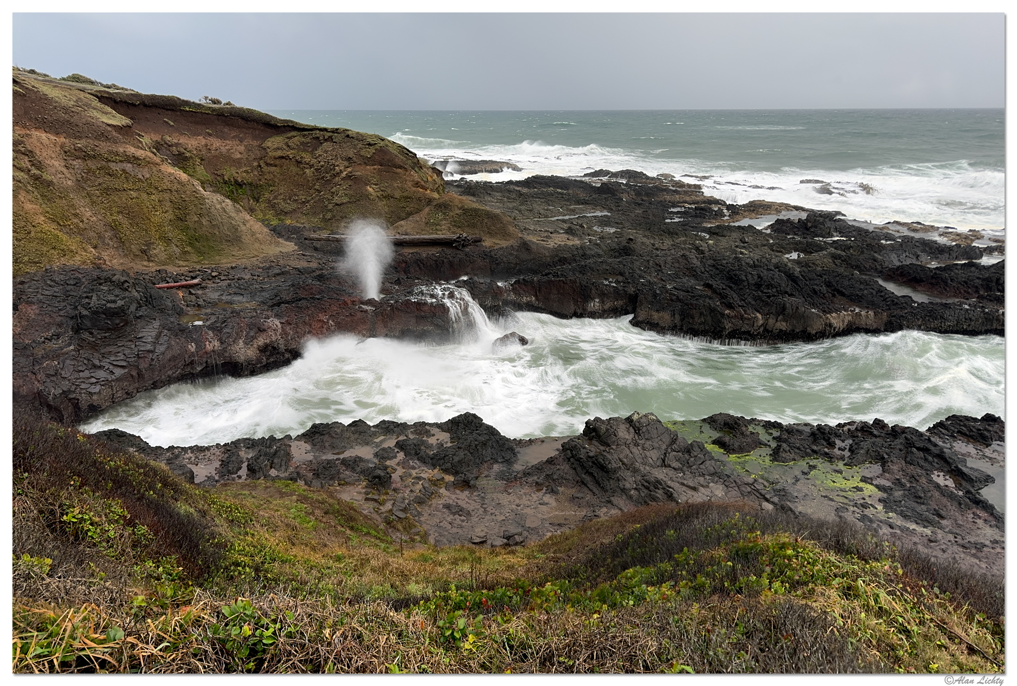 Thar She Blows | Focal World