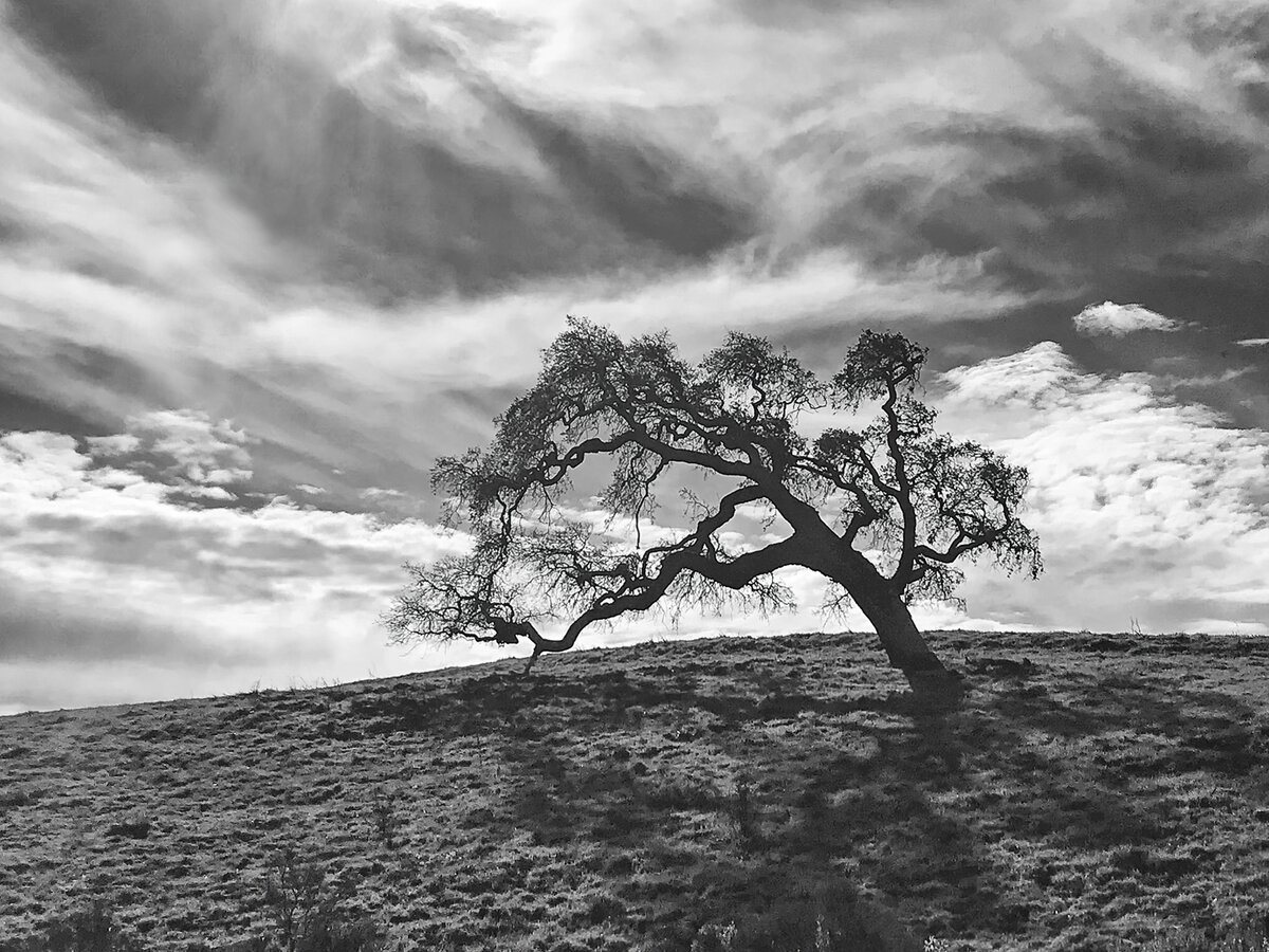 Ip7_0929_220115_se1x2w.jpg