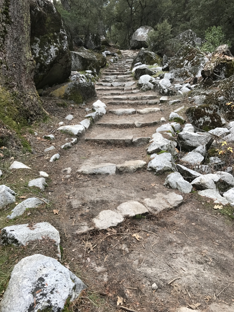 iP7_5174_171215w.JPG