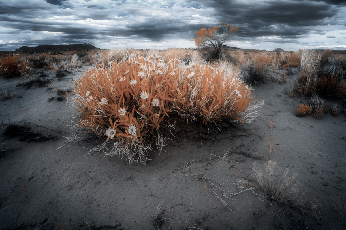 IR---Cathedral-Valley---2.1.jpg