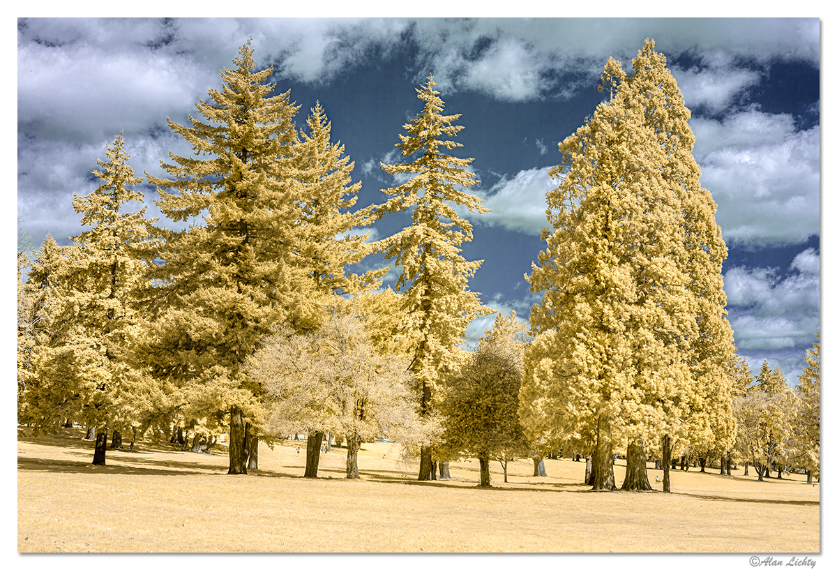 IR-FVGrounds1b.jpg