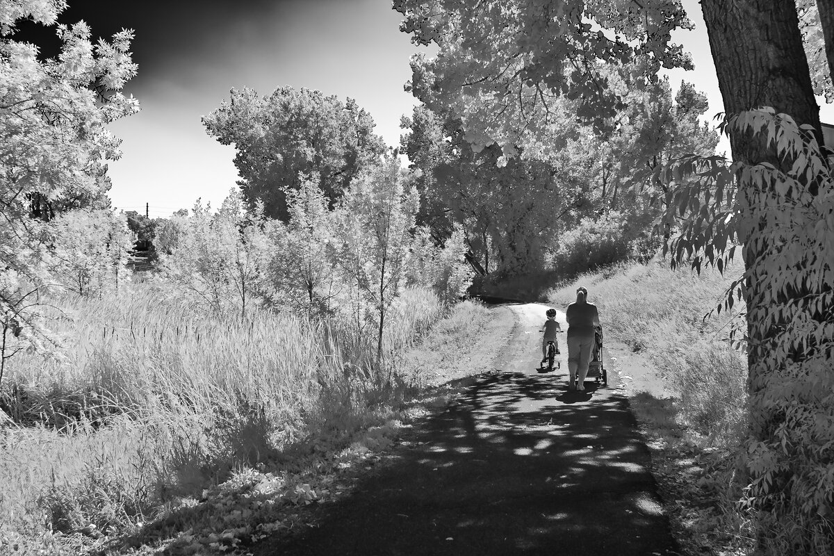IR red filter (1 of 1).jpg